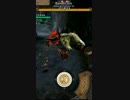 ＭＨＸＲ！ベリオロス中級！！☆3武器を装備して・・・