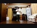 【メダ82】デブが踊るドーナツホール【フリームーブ】