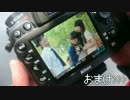 【平と貓弟】夏に去りし君を想フを踊ってみた