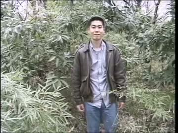 露出狂（直球）