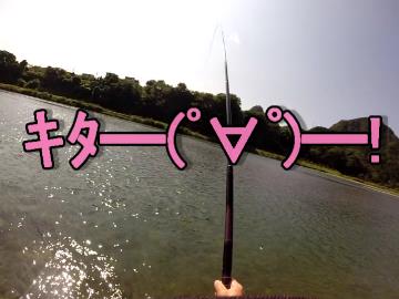 PCX150で釣ーリングだよっ！オランダ仕掛けだよっ！