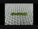【男無言】ぷちぷちの音を録りました。【ASMR・Binaural】