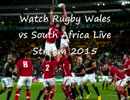 Rugby Wales vs South Africa Online