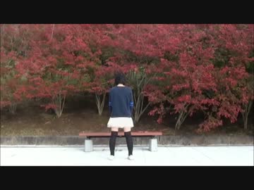 【りんご缶】ルカルカ★ナイトフィーバー　踊ってみた【14歳の誕生日】