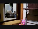 ねこのうんちはとってもかわいい