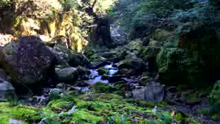 【自然音】　加江田渓谷①　清流　【癒し系ＢＧＭ】