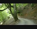【　奥京都の旅　】　芦生・壱