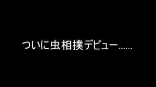 私のぼくの夏休みpart5