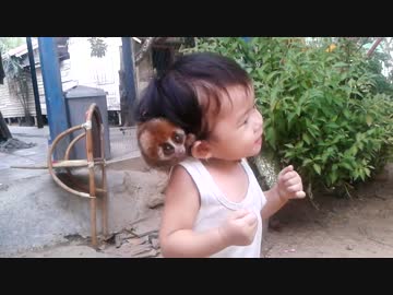 幼児に取り付いて離れない妖怪クソザコナメクジ