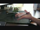 【ペン回し】久しぶりにペン回してみたけど映ってなかった件【DAN(ry】