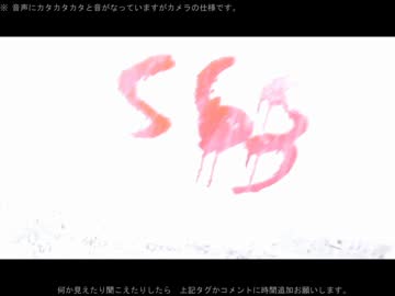 【超絶心霊スポット凸検証】 TB廃病院～入り口～ 【おまけ】