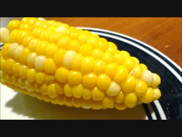 アメリカの食卓 528 アメリカ人直伝のとうもろこし調理法！
