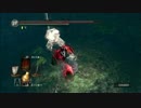 ダークソウル　森で修行　2