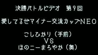 第９回　愛してるぜマイナー交流カップＮＥＯ　決勝バトルビデオ