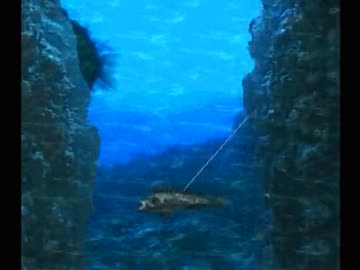 海のぬし釣り 宝島に向かって 実況プレイ31 ニコニコ動画