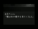 地下に響く妹の泣き声　【アイシャの子守歌　実況】　part2　(終)