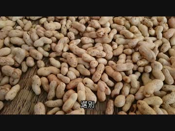 はじめての農家生活　その39