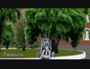 【MMD艦これ】軽巡ホ級さん達でPapaoutai