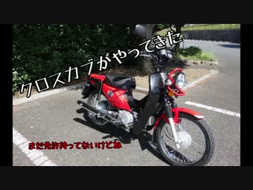 File_004 クロスカブがやってきた
