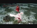 【ダークソウル２】趣味の死合６