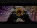 君色花火　歌ってみた