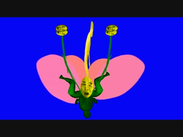 花のしくみと化した先輩BB＋おまけ.mp4