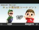 第1回キャラ窓対抗トーナメント3回戦ルイージ窓vsむらびと窓
