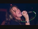 Leopards - Promise Me