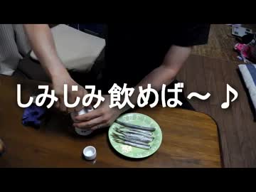 クルマで釣りに行こう♪ part 34 後編【サヨリ】