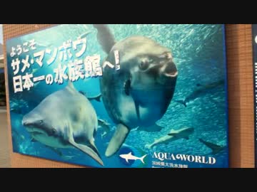 ぼっちで水族館いってきた～アクアワールド・大洗～