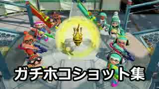 ダメージ ホコショット