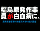 福島第一原発作業員の白血病について。- 2015.10.21