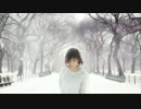 柴田　淳　『 雪の音 』