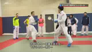 伝統派空手の組手