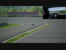 【Assetto Corsa】SGT300クラスの痛車スキンが出ていたので走ってみた＋おまけ