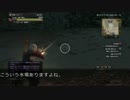 【DDON】水場でのブクブク【小ネタ】
