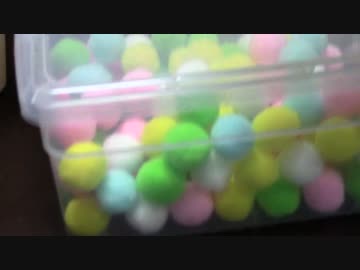 拾いねこ＠生後1204/1171日目　毛虫の素に興奮するアコさん