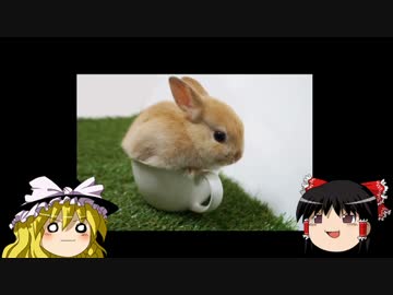 そうだよ 便乗 ニコニ コモンズ