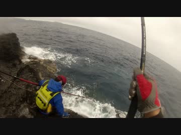 マグロつりました　もちょお