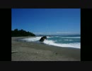 【CM曲】思いは海をこえて　を弾いてみた