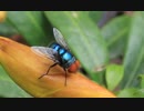 test#50_.wmv