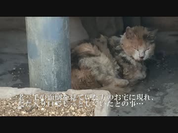 やがて過ぎ行く祭囃子