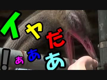 【旅動画】俺、ホモだけど意中の友人と二人旅してきたpart.3【茨城編】