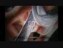 零～濡鴉ノ巫女～　怖さ耐性ついた(自称)　レベル21