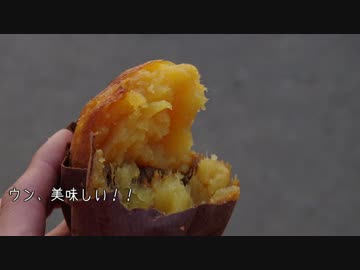 KTM DUKE オニーハンの裏技 霞ヶ浦ポイテーロかいつか