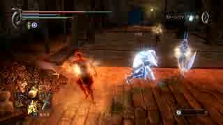 【デモンズソウル】 魔法戦士で侵入 【複数戦】