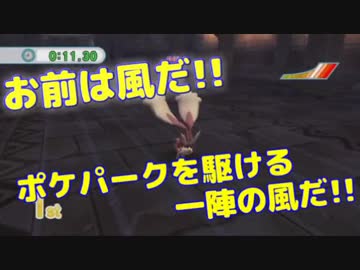 【2人で実況】 ☆ ポ ケ パ ー ク ☆ 【Part15】