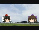 ホースニュース文 菊2015