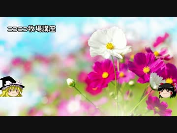 【牧場物語】リアルでもゲームでも牧場part40.5【ゆっくり実況】