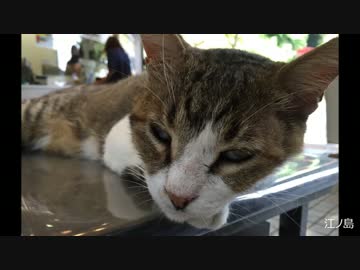 ぬことデヴ その2